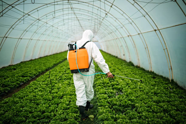 Best Pest Removal Services  in Stewartstown, PA