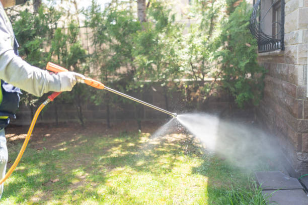 Best Flea Control Services  in Stewartstown, PA