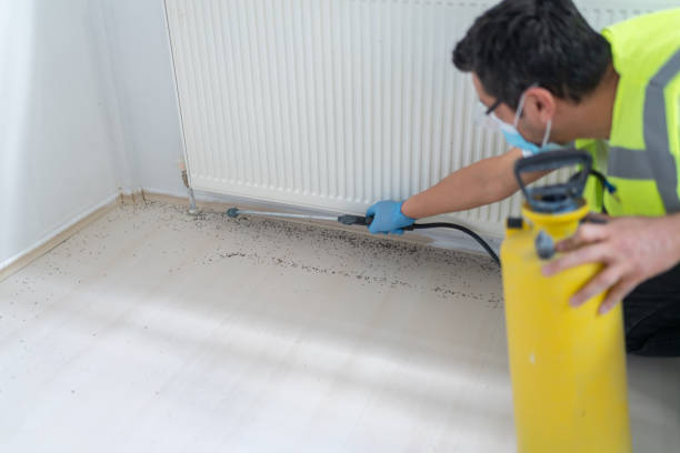 Best Affordable Pest Control Services  in Stewartstown, PA