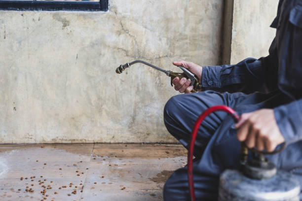Best Pest Prevention Services  in Stewartstown, PA